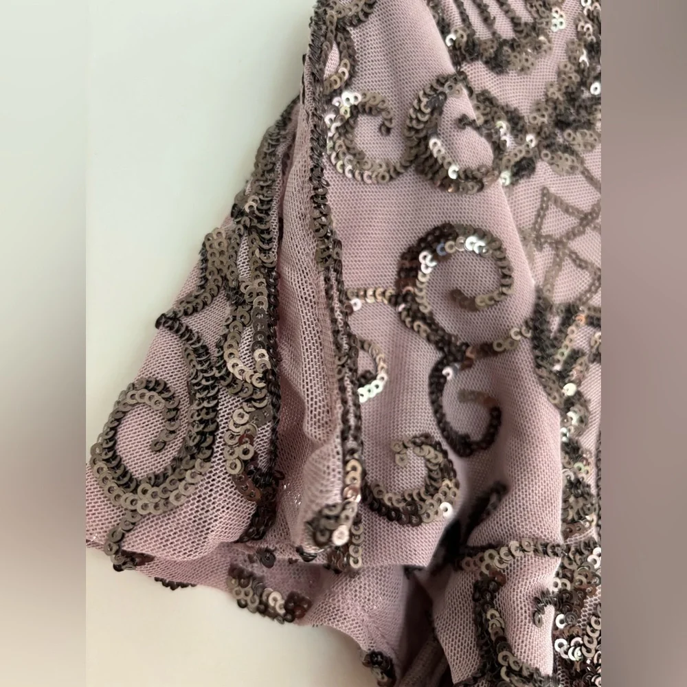 Mauve Mid-Length Beaded Dress 10P EUC Worn Once - Picture 5 of 6